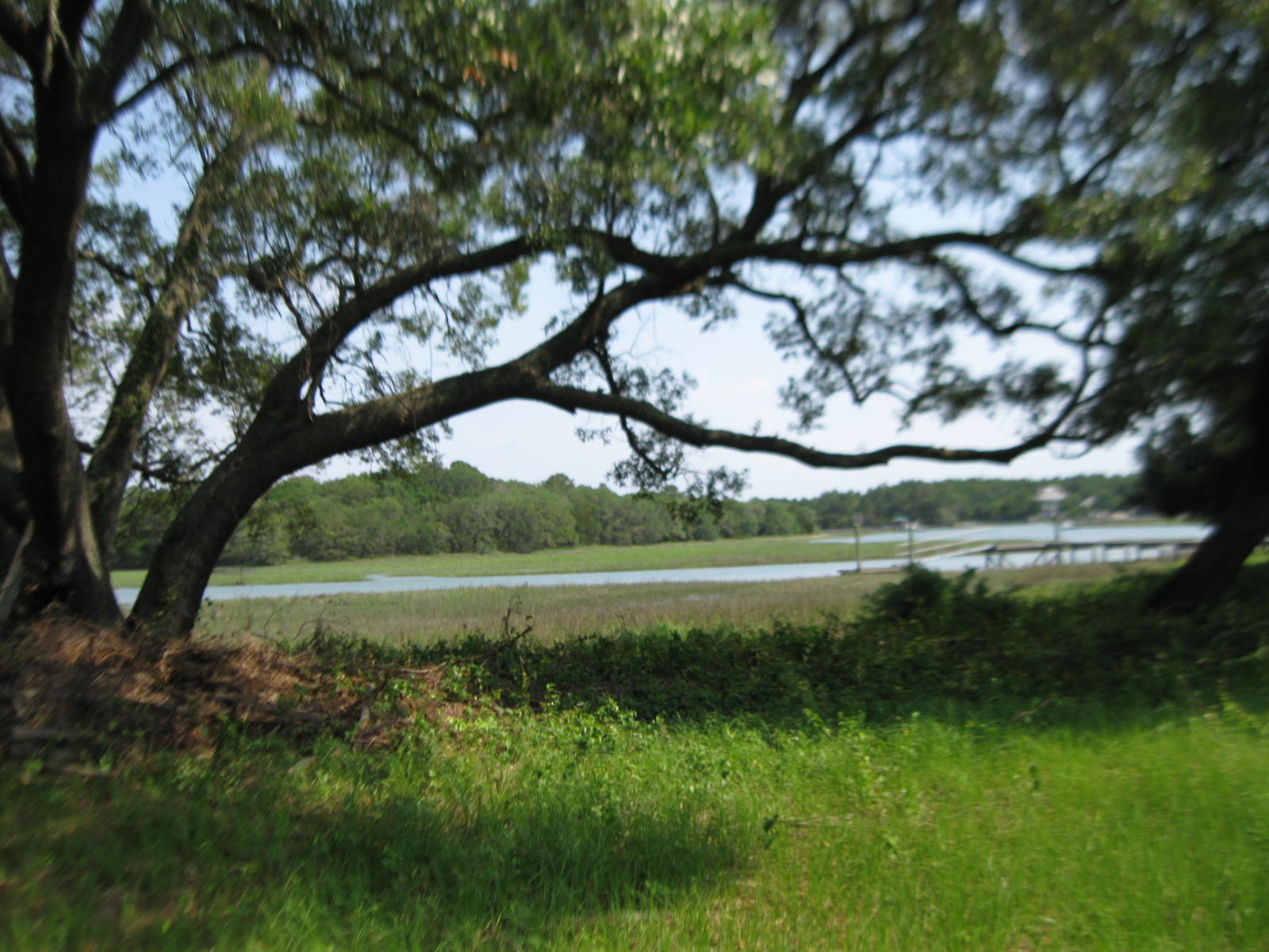 1679 Back Creek Road Charleston, SC 29412 - Photo 6 of 13 020