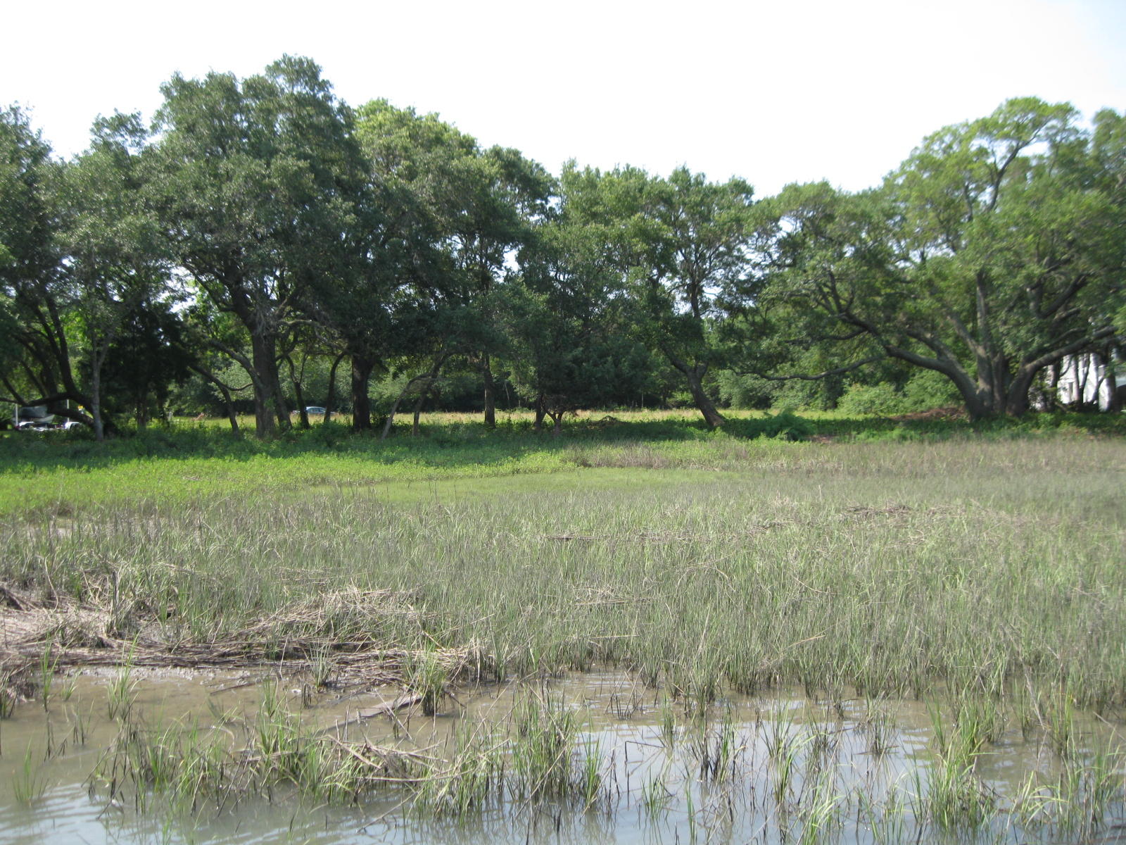 1679 Back Creek Road Charleston, SC 29412 - Photo 7 of 13 019