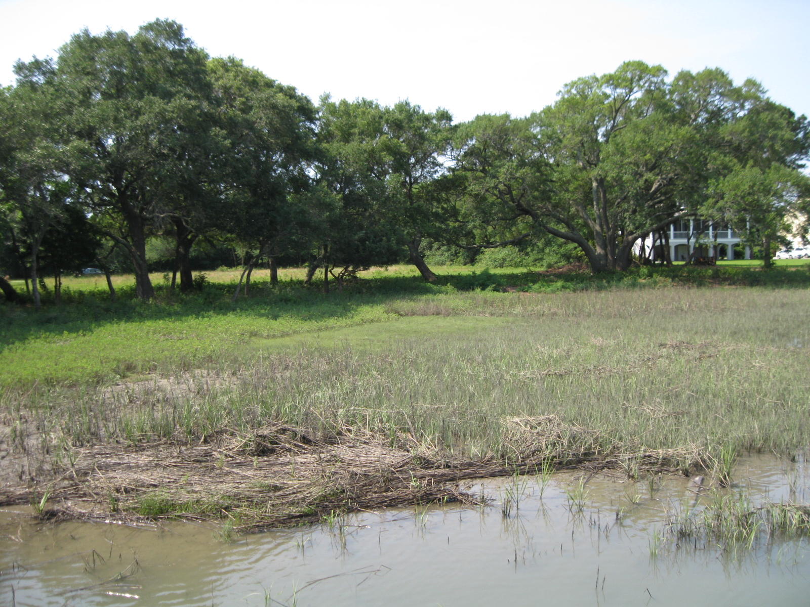 1679 Back Creek Road Charleston, SC 29412 - Photo 8 of 13 018
