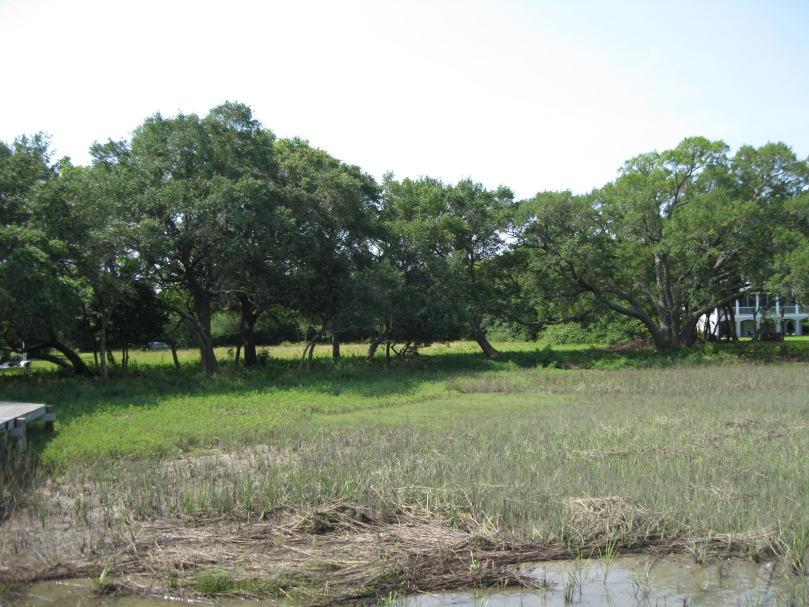 1679 Back Creek Road Charleston, SC 29412 - Photo 9 of 13 017