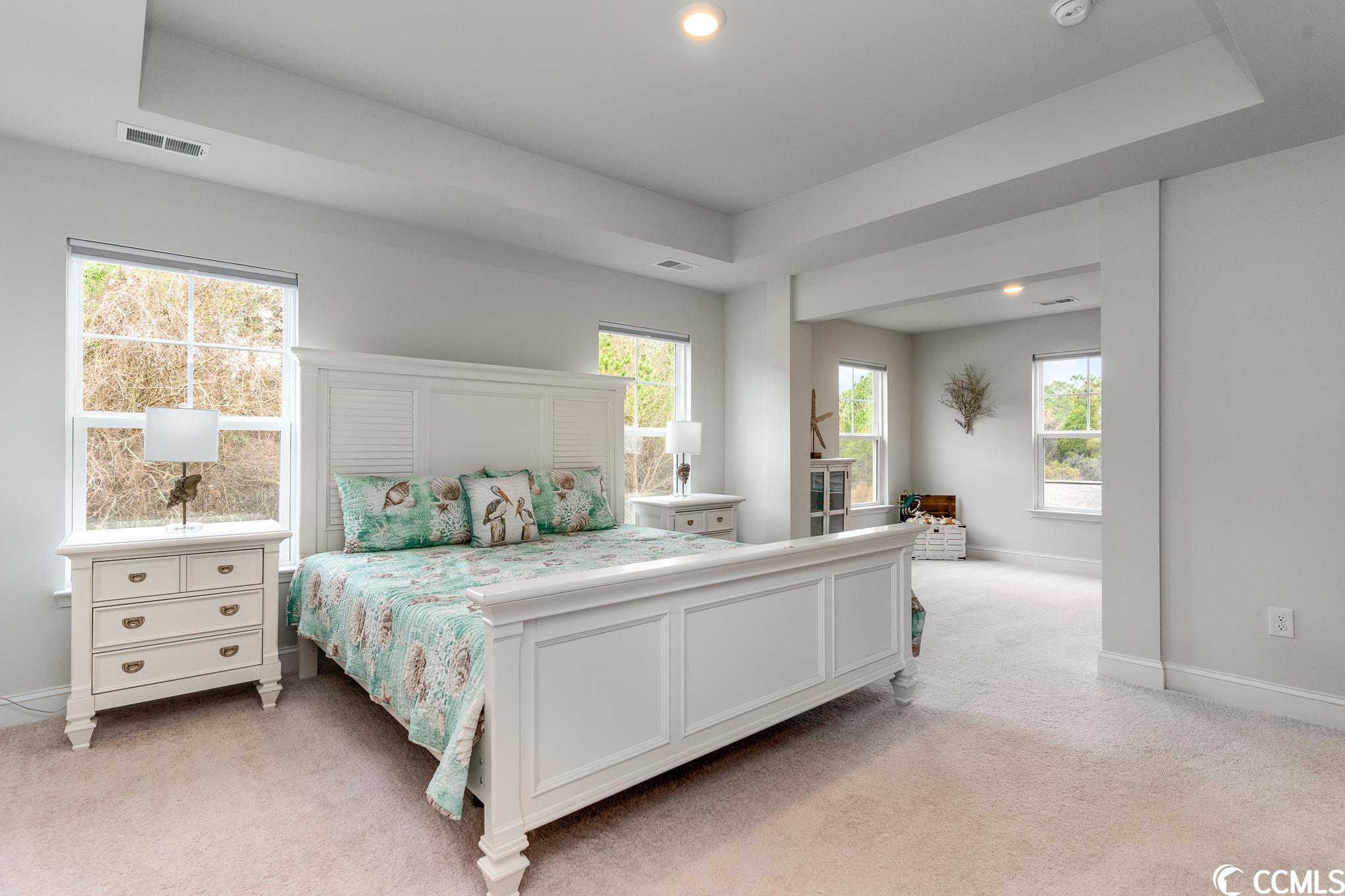 10114 Hamilton Branch Loop Myrtle Beach, SC 29579 - Photo 20 of 40 Gallery Image 20