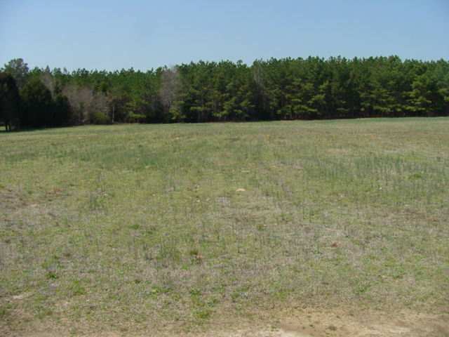 13 Winona Church Rd Due Road Due West, SC 29639 - Photo 1 of 1 Main View
