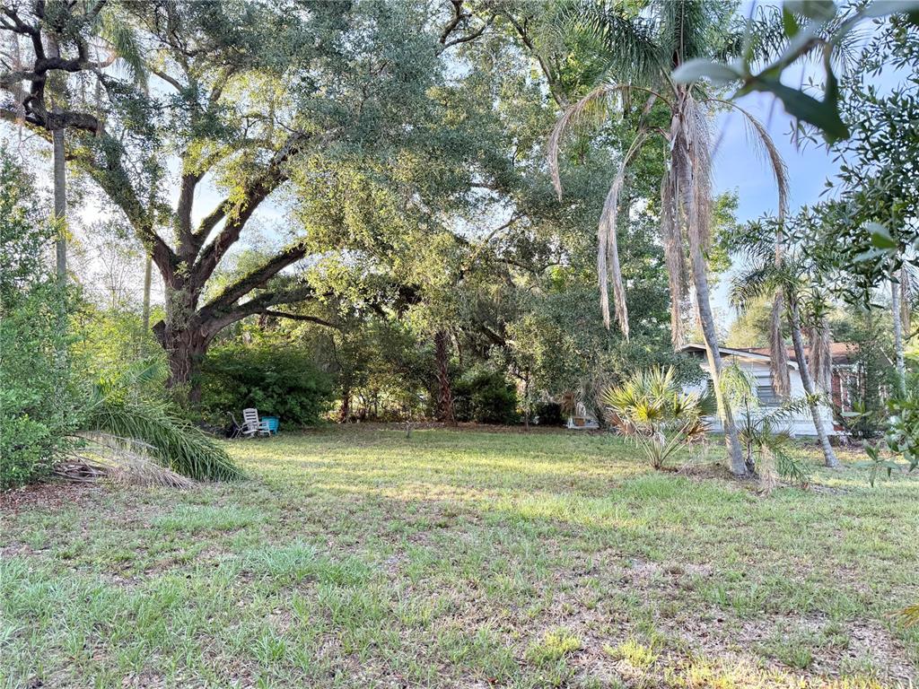 304 Springdale Place Temple Terrace, FL 33617 - Photo 6 of 7