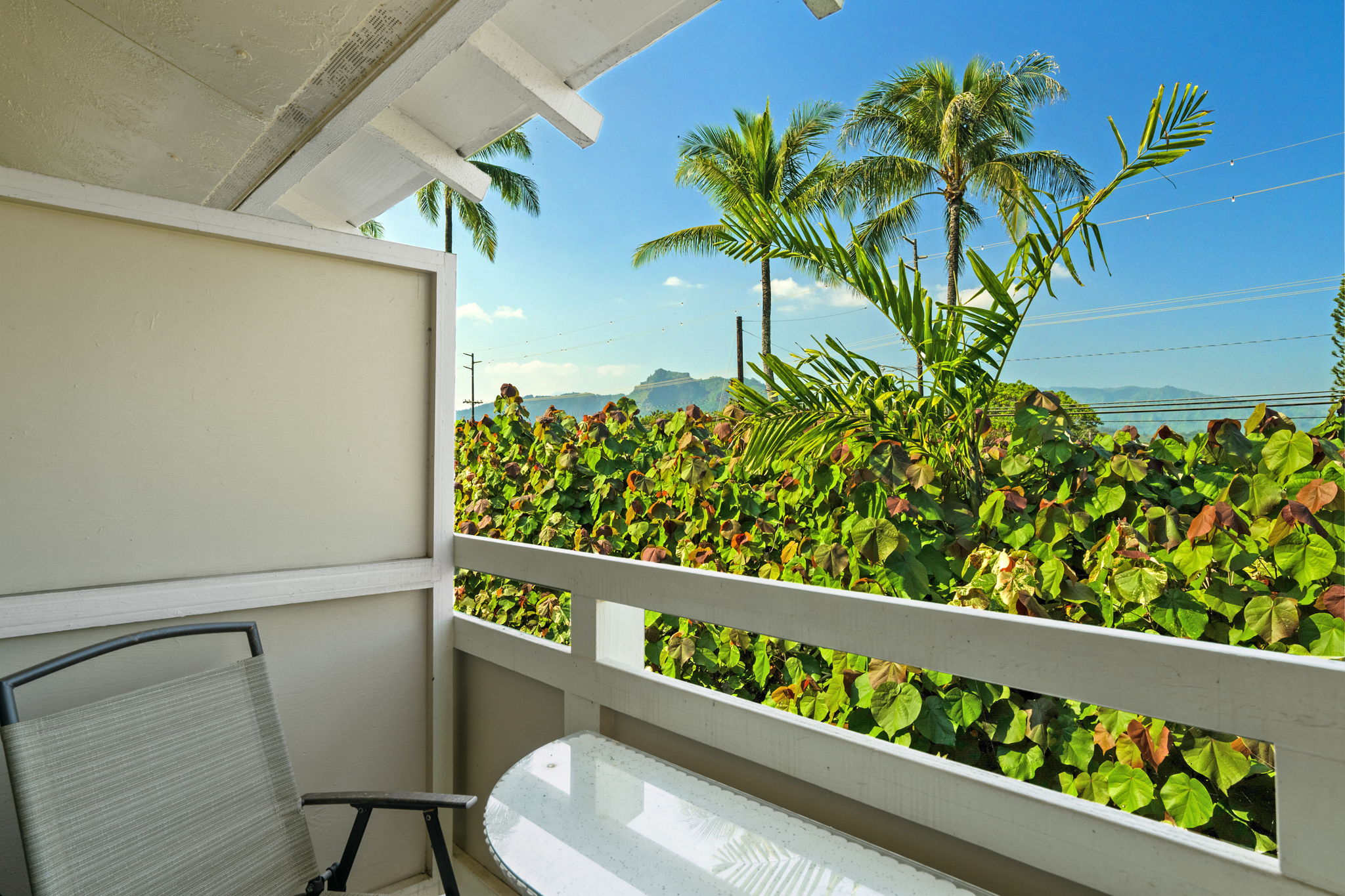 525 Aleka Loop, Unit K12 Kapaa, HI 96746 - Photo 13 of 28