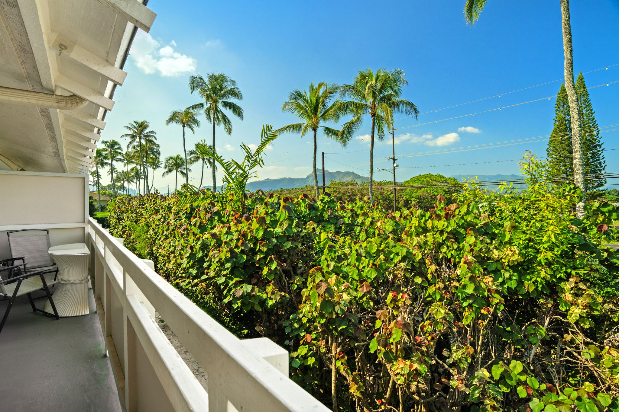 525 Aleka Loop, Unit K12 Kapaa, HI 96746 - Photo 7 of 7 a view of balcony with a plant