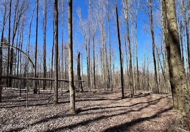 $211,000 | L9 Mc Neil Road, Argyle, NY 12809