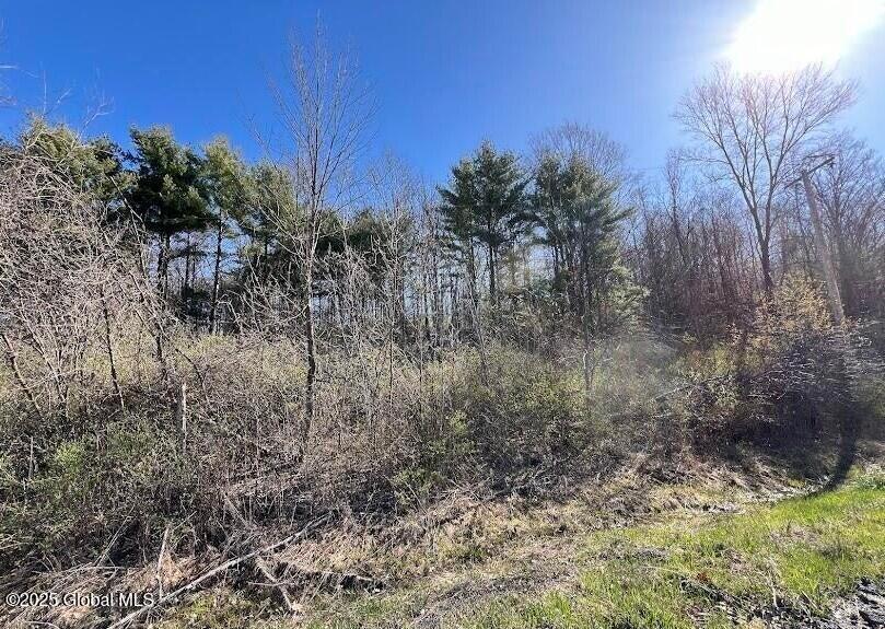 L9 Mc Neil Road Argyle, NY 12809 - Photo 4 of 14 20240502182604060796000000-o