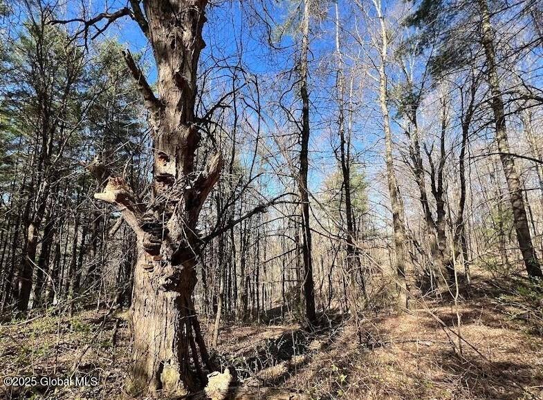 L9 Mc Neil Road Argyle, NY 12809 - Photo 6 of 14 20240502182607564186000000-o