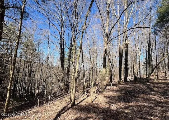 $211,000 | L9 Mc Neil Road, Argyle, NY 12809