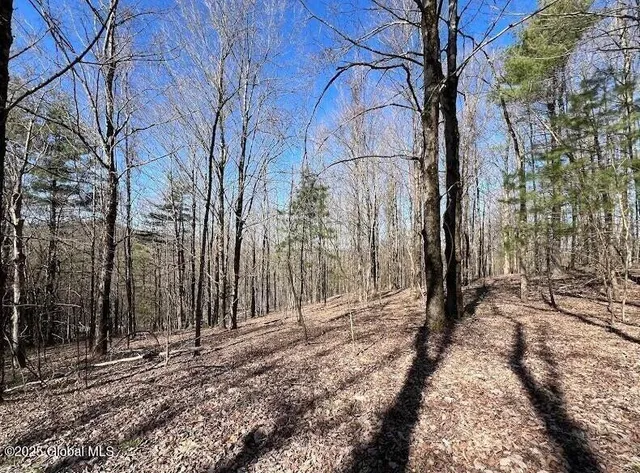 $211,000 | L9 Mc Neil Road, Argyle, NY 12809