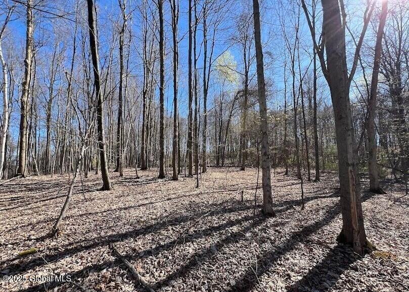 L9 Mc Neil Road Argyle, NY 12809 - Photo 9 of 14 20240502182618863121000000-o