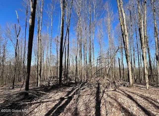 $211,000 | L9 Mc Neil Road, Argyle, NY 12809