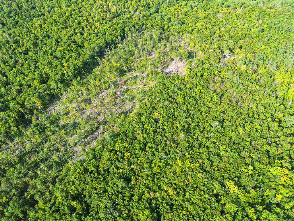 0 Poor Farm Road Starks, ME 04911 - Photo 11 of 22 11_DJI_0171_DxO_mls