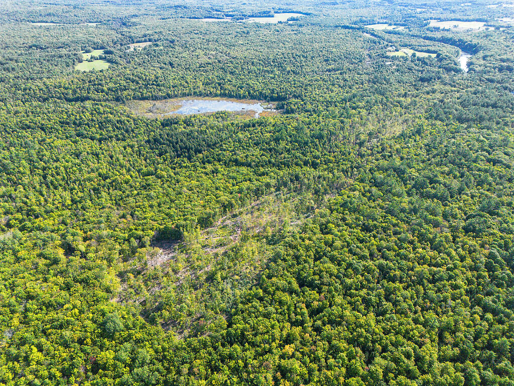 0 Poor Farm Road Starks, ME 04911 - Photo 13 of 22 13_DJI_0174_DxO_mls