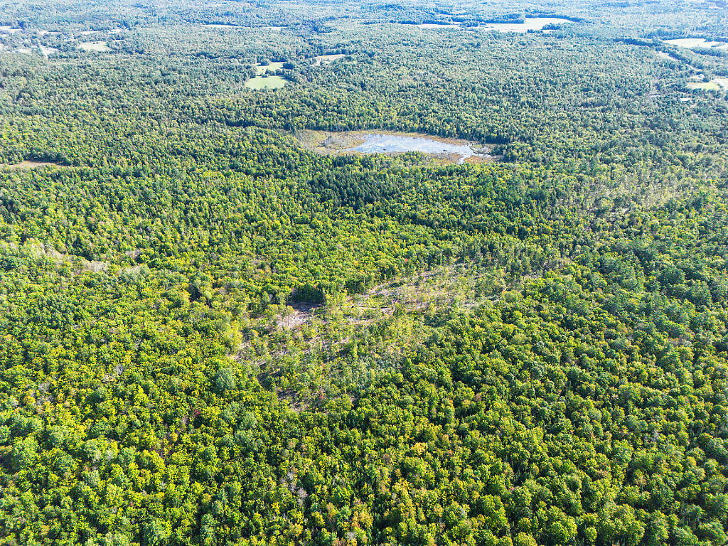 0 Poor Farm Road Starks, ME 04911 - Photo 14 of 22 14_DJI_0175_DxO_mls
