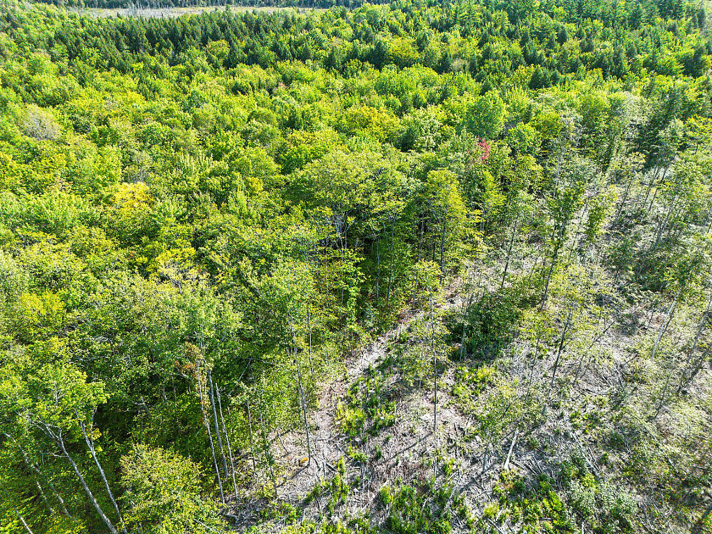 0 Poor Farm Road Starks, ME 04911 - Photo 17 of 22 17_DJI_0178_DxO_mls