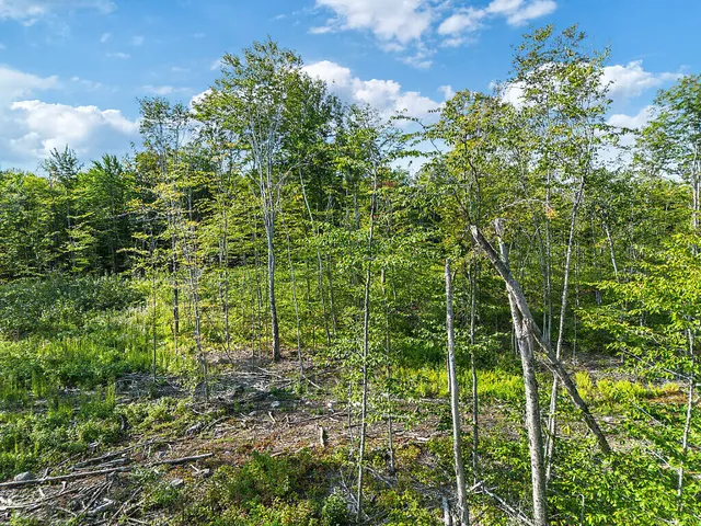 $139,900 | 0 Poor Farm Road, Starks, ME 04911