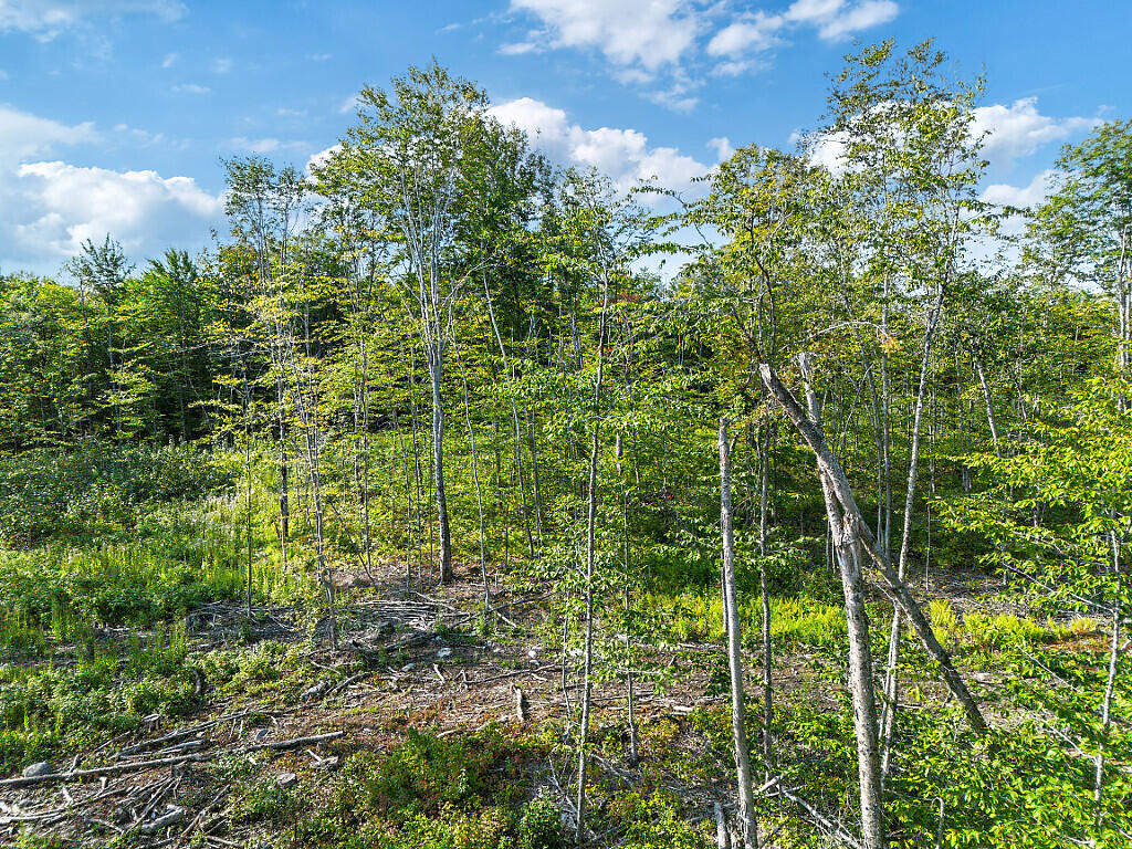 0 Poor Farm Road Starks, ME 04911 - Photo 18 of 22 18_DJI_0179_DxO_mls
