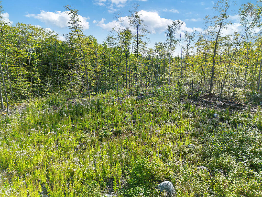 0 Poor Farm Road Starks, ME 04911 - Photo 19 of 22 19_DJI_0180_DxO_mls