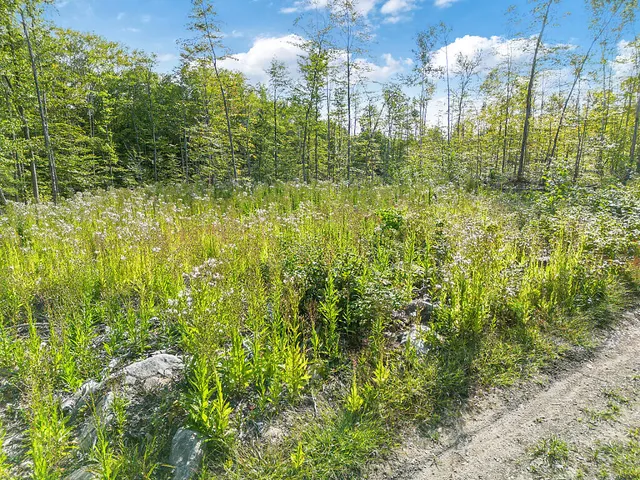 $139,900 | 0 Poor Farm Road, Starks, ME 04911