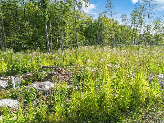 $139,900 | 0 Poor Farm Road, Starks, ME 04911