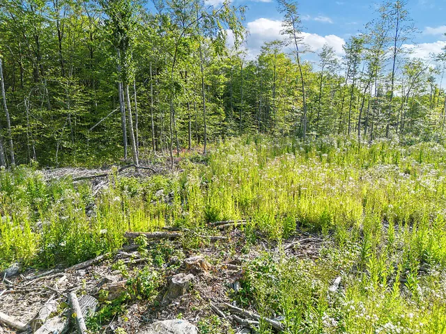 $139,900 | 0 Poor Farm Road, Starks, ME 04911