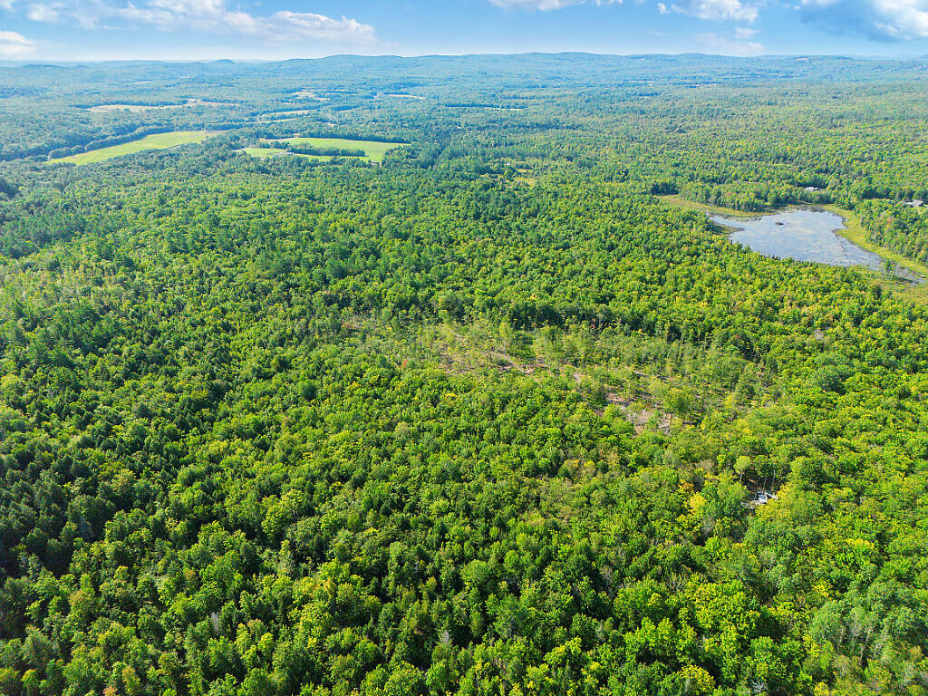 0 Poor Farm Road Starks, ME 04911 - Photo 5 of 22 05_DJI_0163_DxO_mls