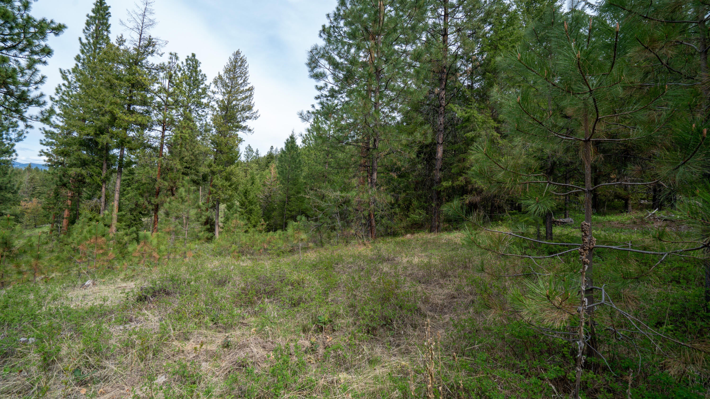 Keeney Fork Rd Prairie Prairie City, OR 97869 - Photo 54 of 61 DSC00879