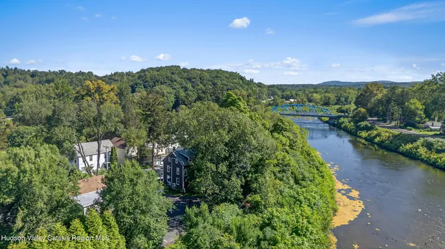 a view of a city with lush green forest