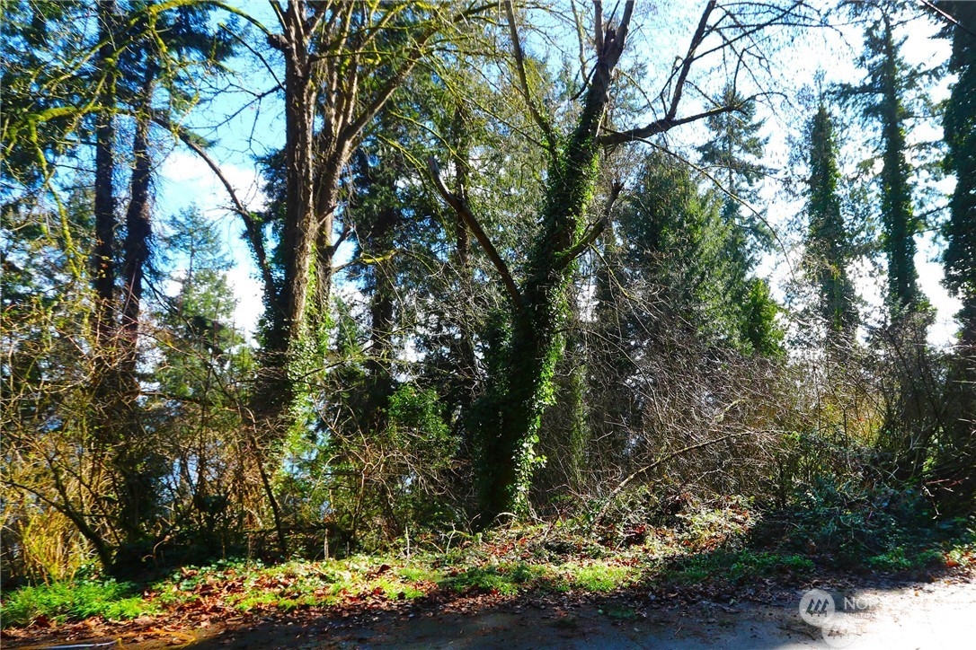 124-xx Cunliffe Road Southwest Vashon, WA 98070 - Photo 1 of 3 Gallery Image 1