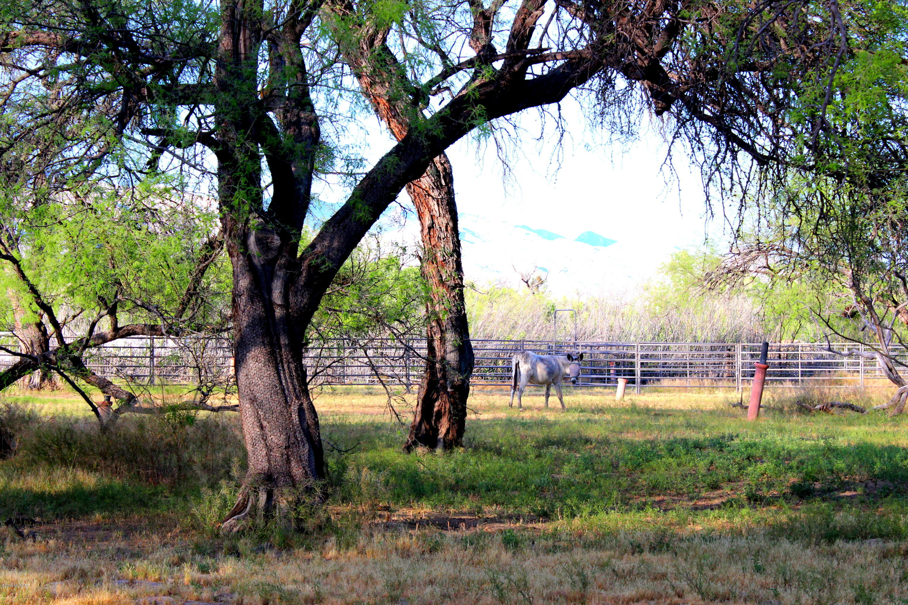 2750 North Pantano Road Tucson, AZ 85715 - Photo 20 of 21