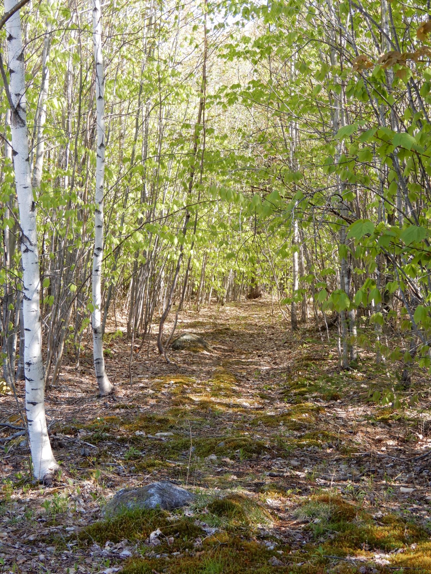 2 Pine Bluff Road Embden, ME 04958 - Photo 27 of 36 image00005