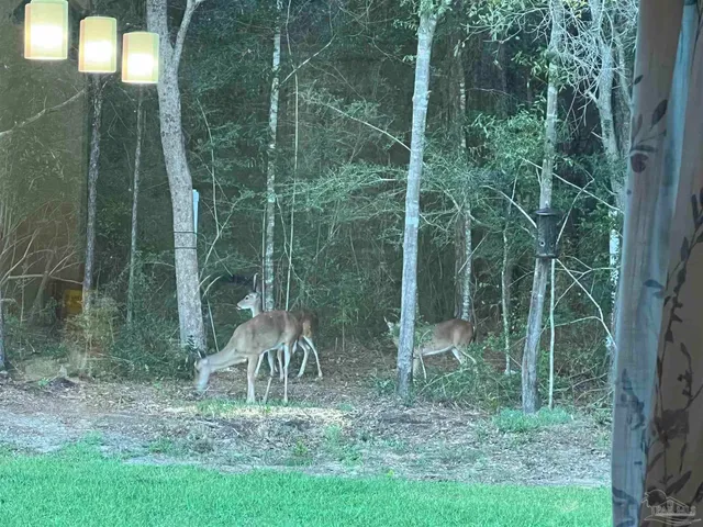 $410,000 | 6782 Beaudry Lane, Milton, FL 32570