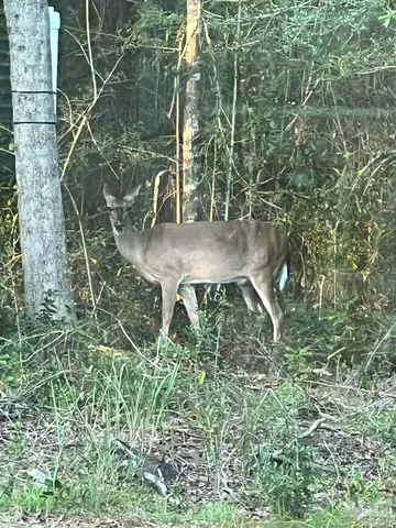 $410,000 | 6782 Beaudry Lane, Milton, FL 32570