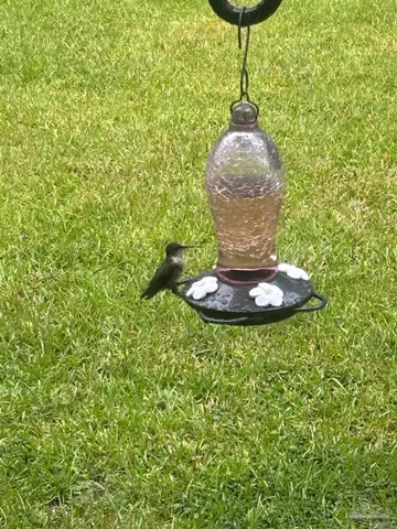 $410,000 | 6782 Beaudry Lane, Milton, FL 32570