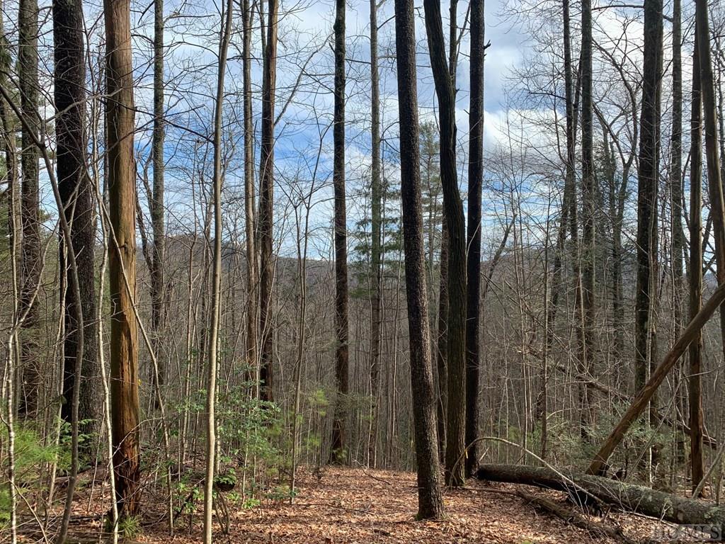 Lot 27 Timber Ridge Drive Sylva, NC 28779 - Photo 3 of 6 Gallery Image 3