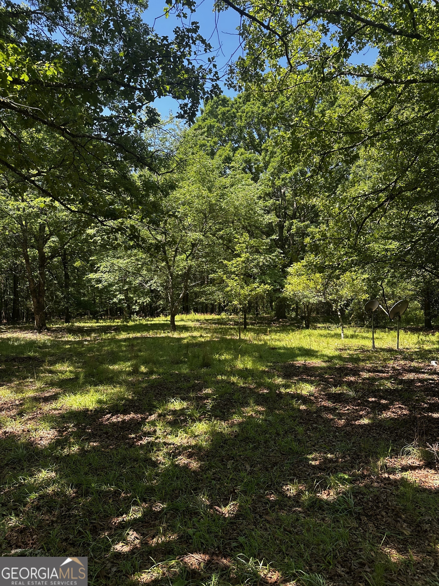 178 Barnesville Avenue Barnesville, GA 30204 - Photo 14 of 17 a view of a yard with a tree