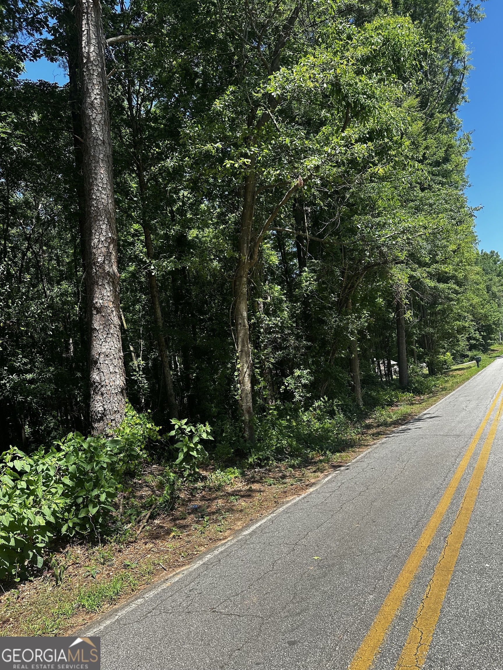 178 Barnesville Avenue Barnesville, GA 30204 - Photo 16 of 17 a view of a garden