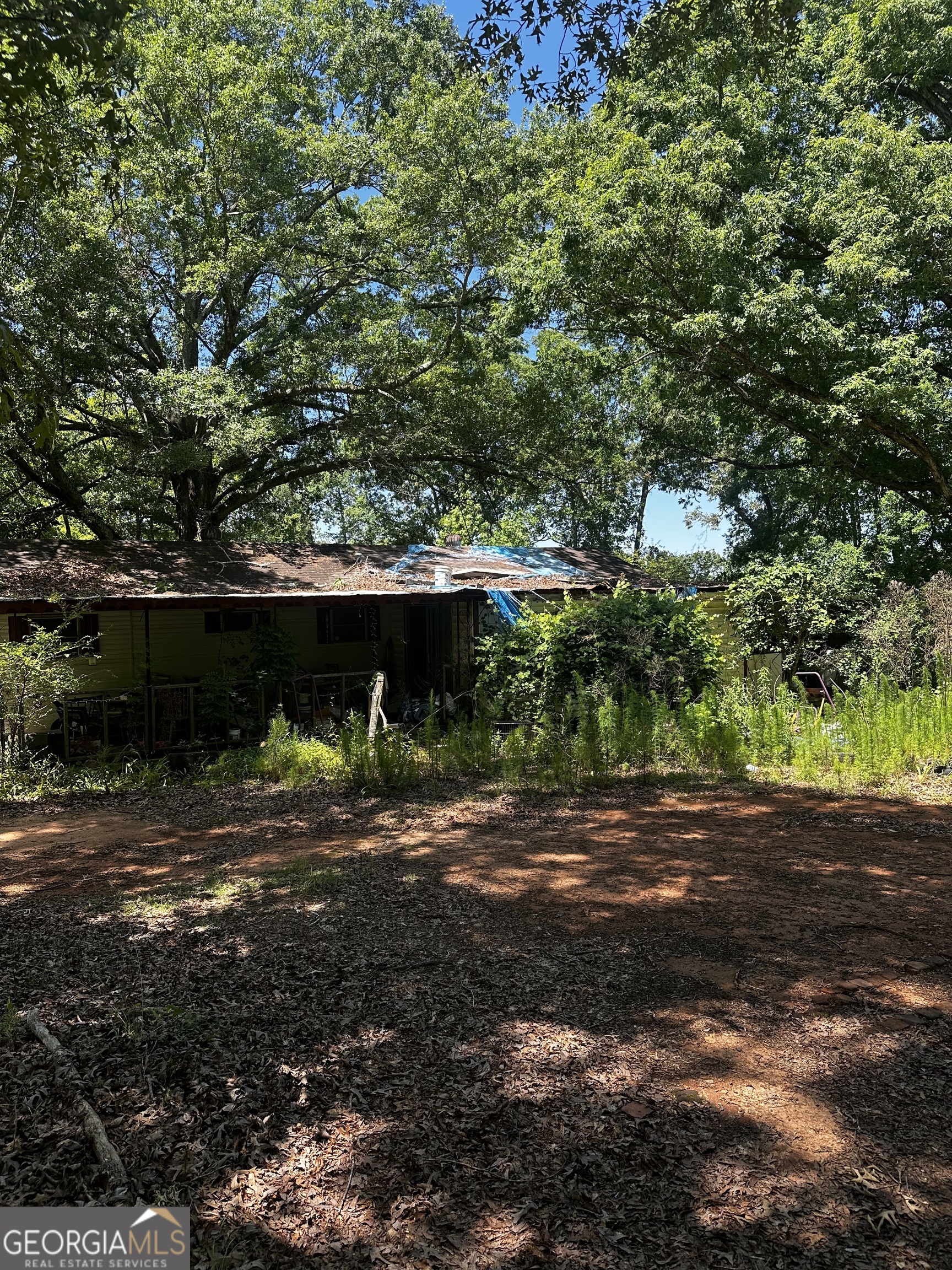 178 Barnesville Avenue Barnesville, GA 30204 - Photo 8 of 17 a backyard of a house with lots of green space