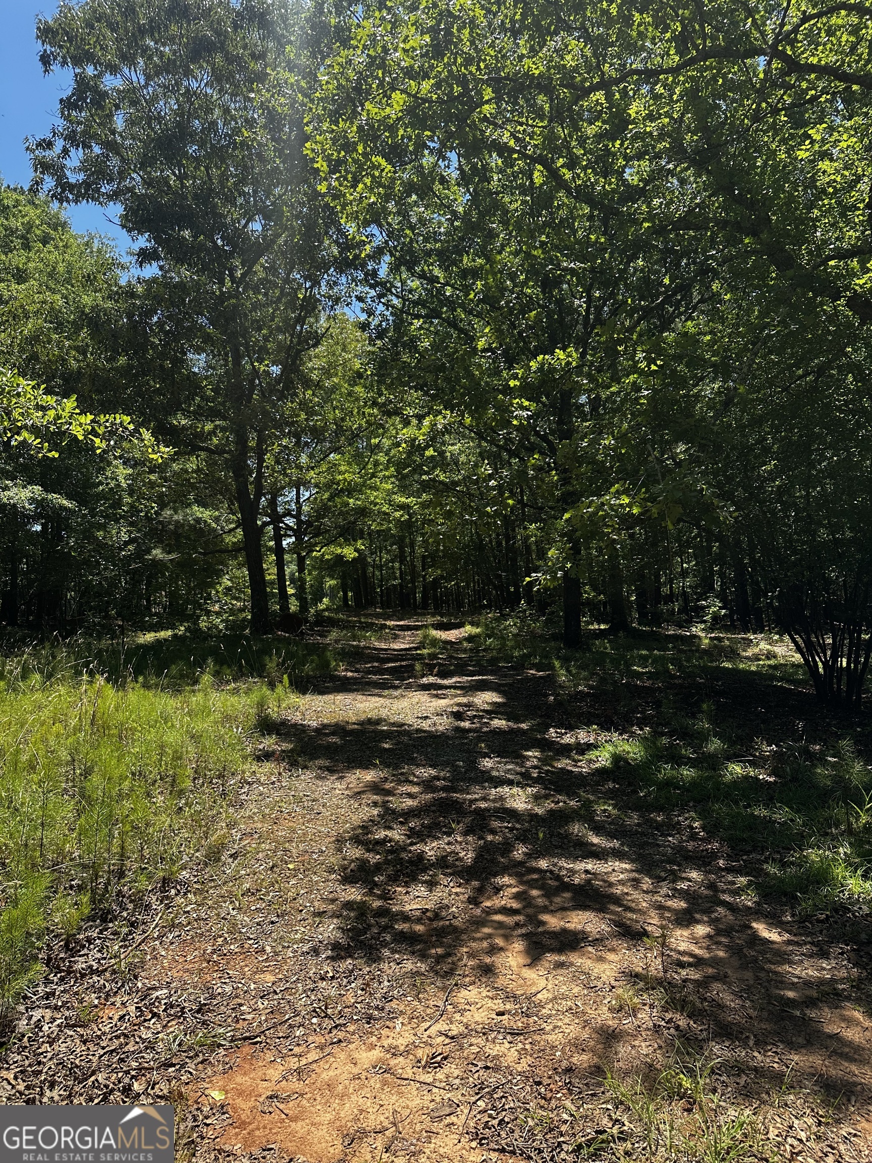 178 Barnesville Avenue Barnesville, GA 30204 - Photo 9 of 17 a backyard of a house with lots of green space