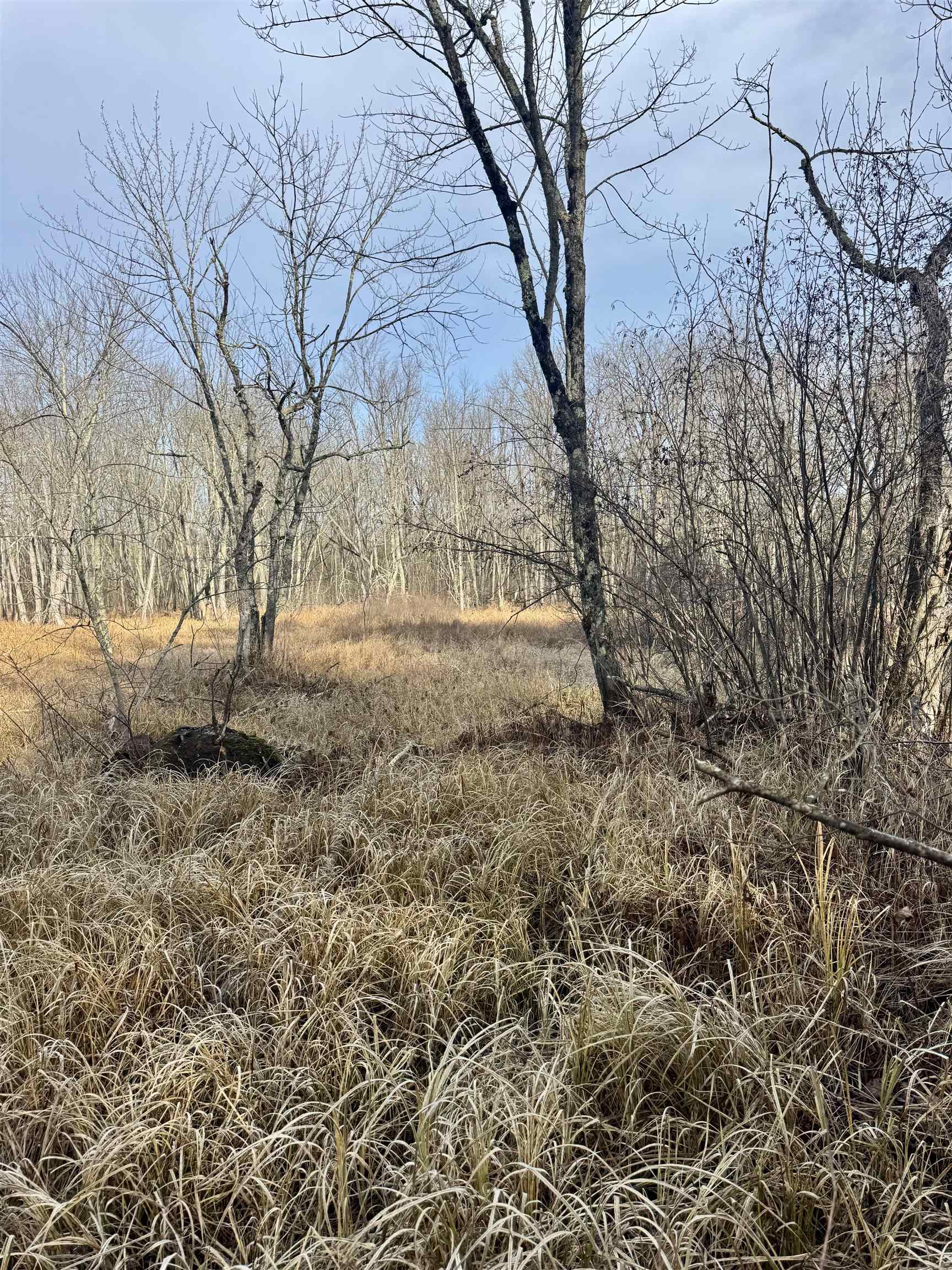 Airport Road, Unit 4 Crivitz, WI 54114 - Photo 7 of 10