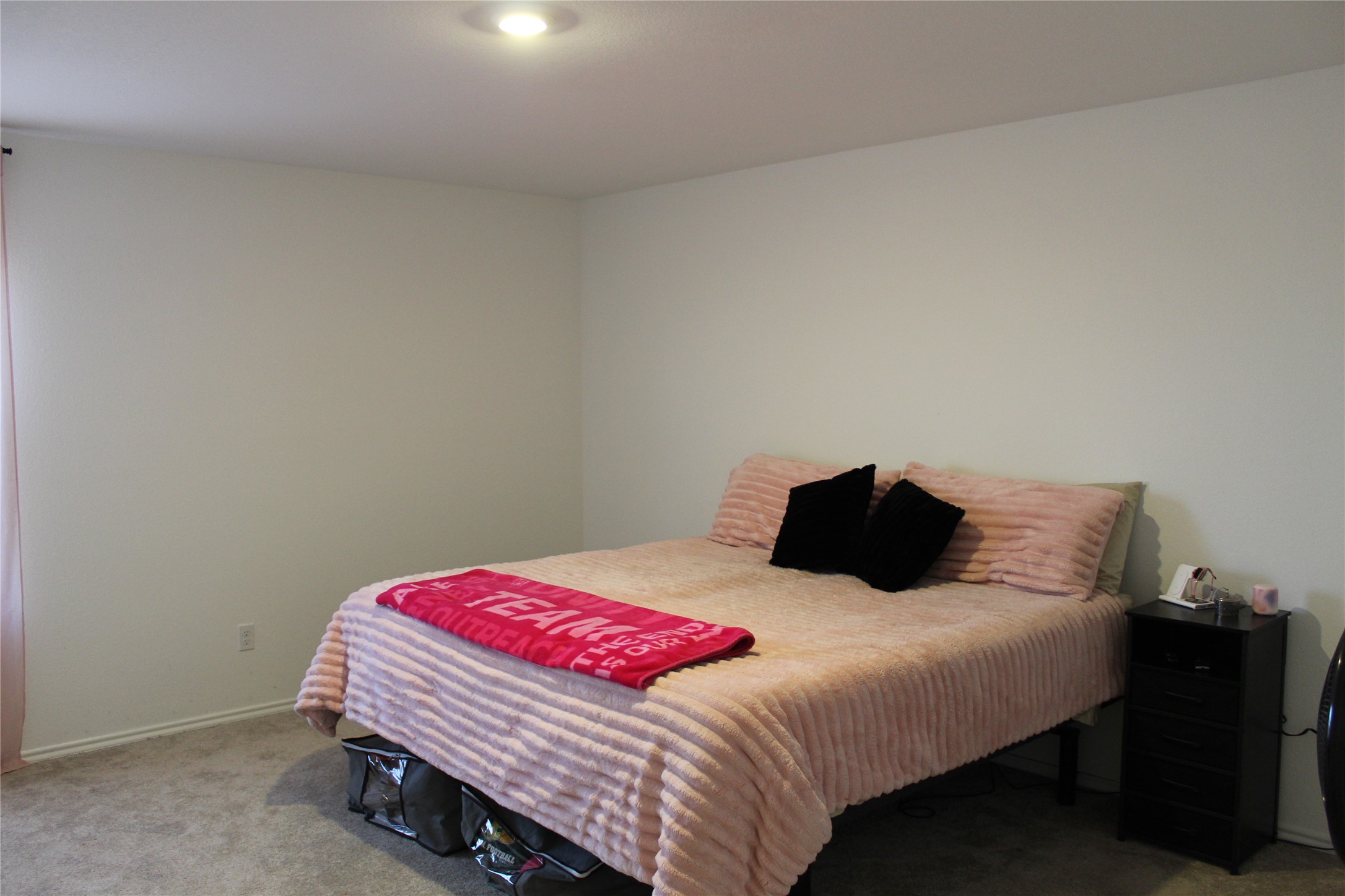 205 Marty Allen Loop Jarrell, TX 76537 - Photo 11 of 22 Spacious Primary Room