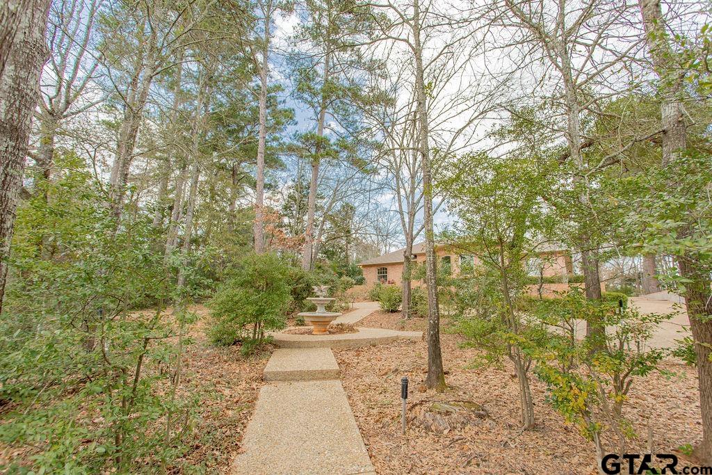 1201 Lake Cross Road Hideaway, TX 75771 - Photo 33 of 45