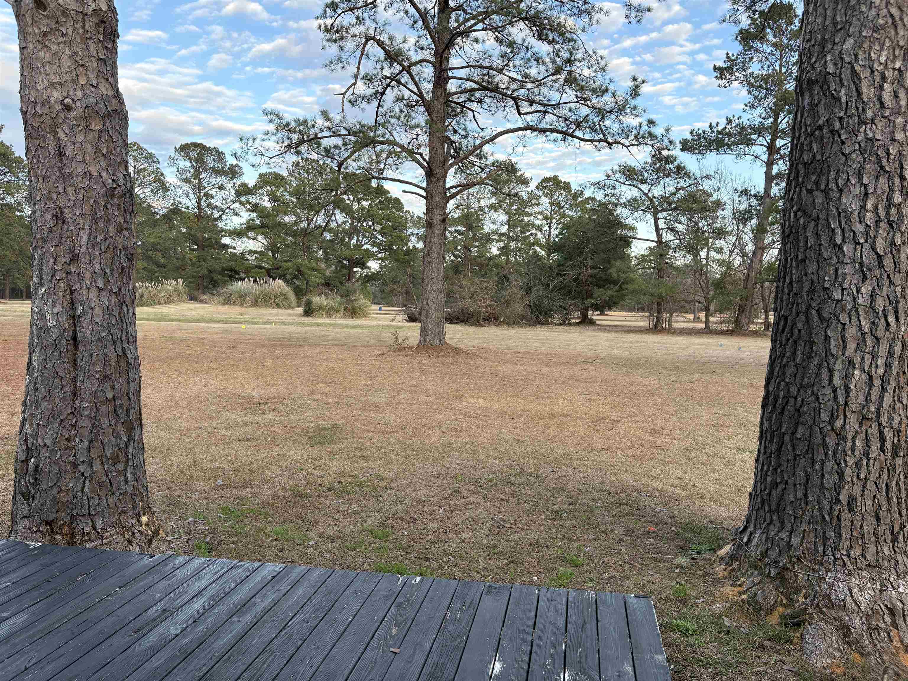 10716 County Line Road Andrews, SC 29510 - Photo 12 of 14