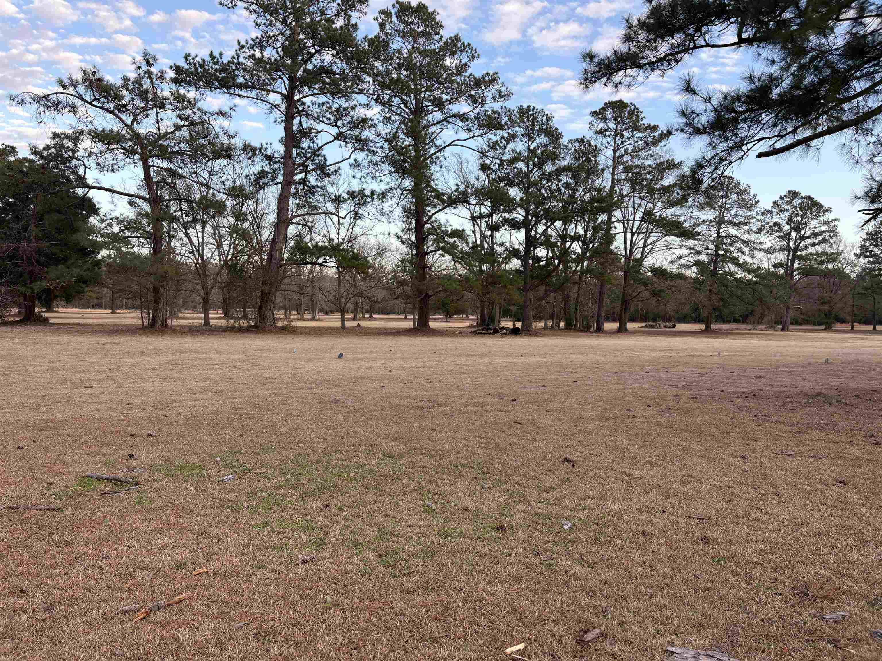 10716 County Line Road Andrews, SC 29510 - Photo 14 of 14