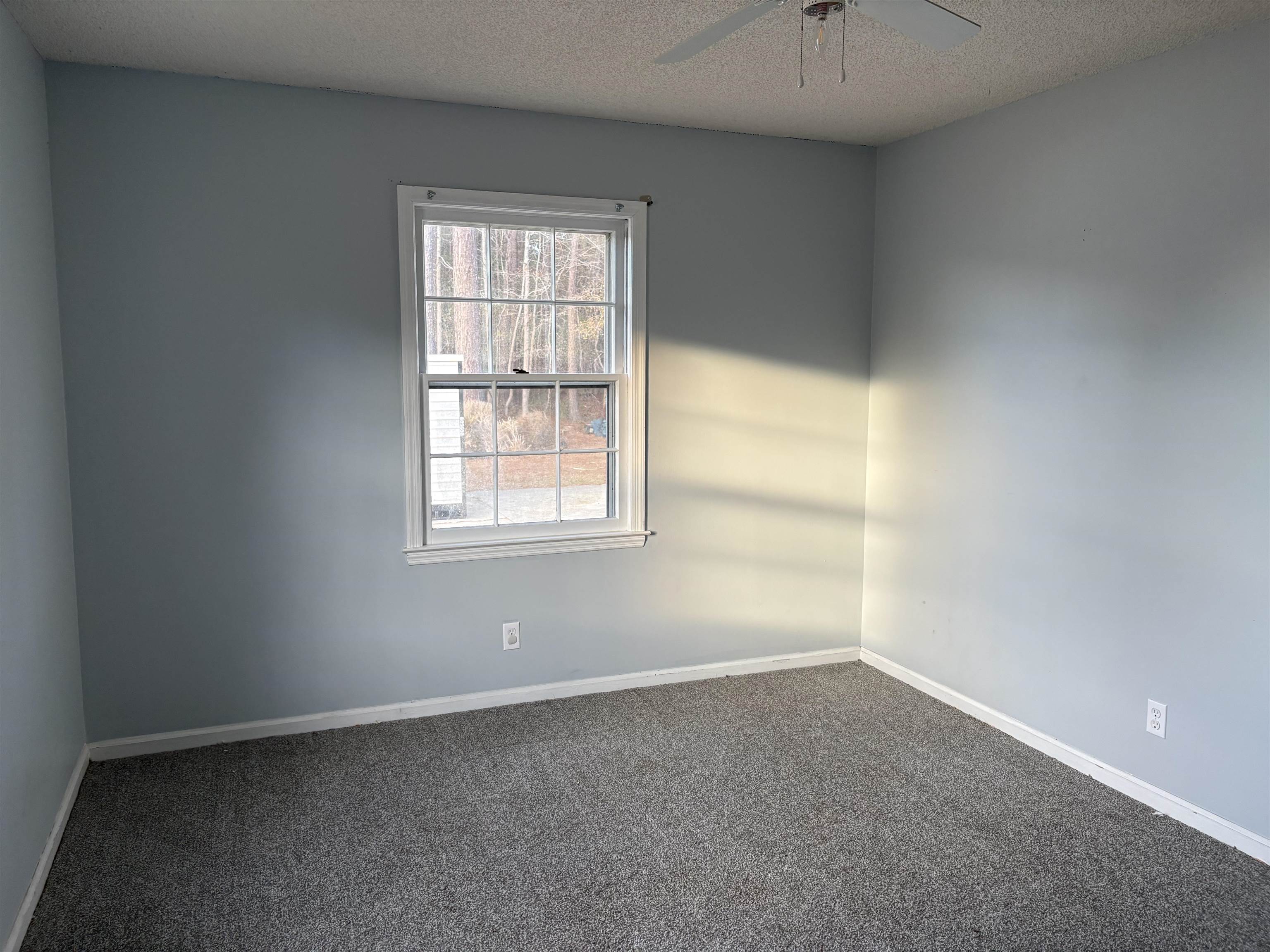 10716 County Line Road Andrews, SC 29510 - Photo 5 of 14