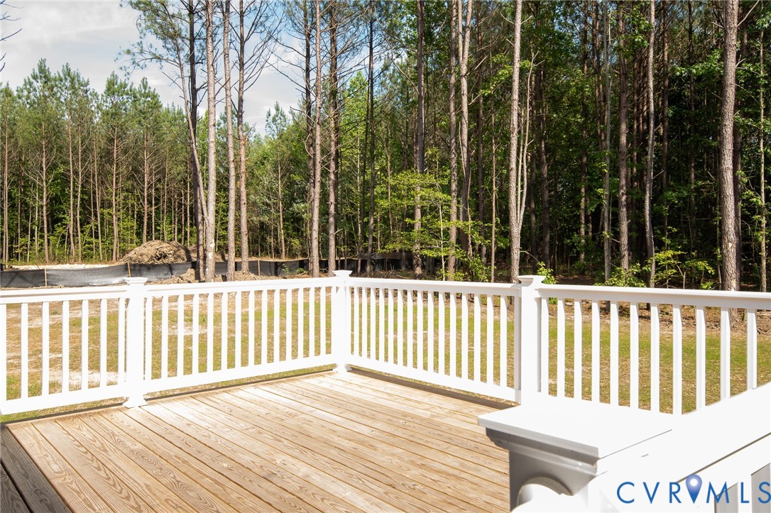 24178 Cabin Point Road Waverly, VA 23890 - Photo 16 of 19