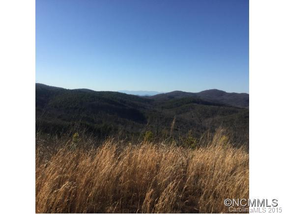 0 Salem Church Road Ellenboro, NC 28040 - Photo 1 of 9 Gallery Image 1
