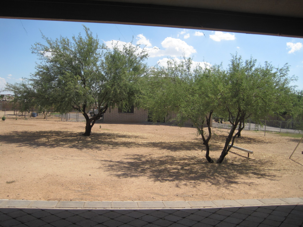 1005 West Dolores Road Phoenix, AZ 85086 - Photo 24 of 28 Huge Back Yard for the Kids to Play