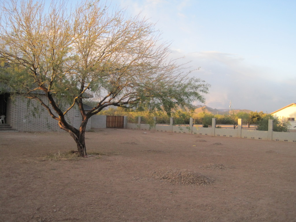 1005 West Dolores Road Phoenix, AZ 85086 - Photo 25 of 28 RV Gate